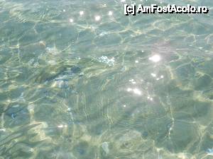 [P02] marea cristalina » foto by LauraMihaela22
 - 
<span class="allrVoted glyphicon glyphicon-heart hidden" id="av471853"></span>
<a class="m-l-10 hidden" id="sv471853" onclick="voting_Foto_DelVot(,471853,14222)" role="button">șterge vot <span class="glyphicon glyphicon-remove"></span></a>
<a id="v9471853" class=" c-red"  onclick="voting_Foto_SetVot(471853)" role="button"><span class="glyphicon glyphicon-heart-empty"></span> <b>LIKE</b> = Votează poza</a> <img class="hidden"  id="f471853W9" src="/imagini/loader.gif" border="0" /><span class="AjErrMes hidden" id="e471853ErM"></span>