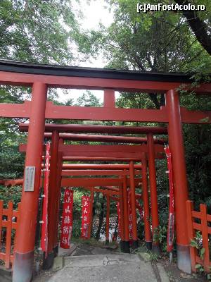 [P66] Kamakura, Templul Tsurugaoka Hachiman-gu, porți Tori ce duc la Altarul Maruyama Inari.  » foto by mprofeanu
 - 
<span class="allrVoted glyphicon glyphicon-heart hidden" id="av686121"></span>
<a class="m-l-10 hidden" id="sv686121" onclick="voting_Foto_DelVot(,686121,14224)" role="button">șterge vot <span class="glyphicon glyphicon-remove"></span></a>
<a id="v9686121" class=" c-red"  onclick="voting_Foto_SetVot(686121)" role="button"><span class="glyphicon glyphicon-heart-empty"></span> <b>LIKE</b> = Votează poza</a> <img class="hidden"  id="f686121W9" src="/imagini/loader.gif" border="0" /><span class="AjErrMes hidden" id="e686121ErM"></span>