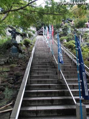 [P87] Kamakura, Templul Kencho-ji, urcând spre Subtemplul Hanso-bo » foto by mprofeanu
 - 
<span class="allrVoted glyphicon glyphicon-heart hidden" id="av686143"></span>
<a class="m-l-10 hidden" id="sv686143" onclick="voting_Foto_DelVot(,686143,14224)" role="button">șterge vot <span class="glyphicon glyphicon-remove"></span></a>
<a id="v9686143" class=" c-red"  onclick="voting_Foto_SetVot(686143)" role="button"><span class="glyphicon glyphicon-heart-empty"></span> <b>LIKE</b> = Votează poza</a> <img class="hidden"  id="f686143W9" src="/imagini/loader.gif" border="0" /><span class="AjErrMes hidden" id="e686143ErM"></span>