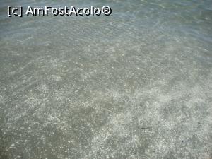 [P09] Mamaia Nord - Apa este superbă în acea zonă. Foarte limpede, se văd peştişorii în jurul tău. » foto by Floryn81
 - 
<span class="allrVoted glyphicon glyphicon-heart hidden" id="av880703"></span>
<a class="m-l-10 hidden" id="sv880703" onclick="voting_Foto_DelVot(,880703,14525)" role="button">șterge vot <span class="glyphicon glyphicon-remove"></span></a>
<a id="v9880703" class=" c-red"  onclick="voting_Foto_SetVot(880703)" role="button"><span class="glyphicon glyphicon-heart-empty"></span> <b>LIKE</b> = Votează poza</a> <img class="hidden"  id="f880703W9" src="/imagini/loader.gif" border="0" /><span class="AjErrMes hidden" id="e880703ErM"></span>