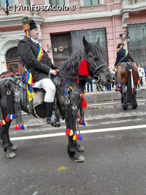 [P03] Mândru June din Brașovul vechi » foto by mihaelavoicu
 - 
<span class="allrVoted glyphicon glyphicon-heart hidden" id="av1483199"></span>
<a class="m-l-10 hidden" id="sv1483199" onclick="voting_Foto_DelVot(,1483199,14550)" role="button">șterge vot <span class="glyphicon glyphicon-remove"></span></a>
<a id="v91483199" class=" c-red"  onclick="voting_Foto_SetVot(1483199)" role="button"><span class="glyphicon glyphicon-heart-empty"></span> <b>LIKE</b> = Votează poza</a> <img class="hidden"  id="f1483199W9" src="/imagini/loader.gif" border="0" /><span class="AjErrMes hidden" id="e1483199ErM"></span>