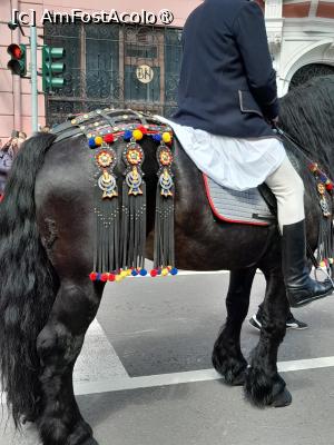 [P07] Un June din Brașovul Vechi » foto by mihaelavoicu
 - 
<span class="allrVoted glyphicon glyphicon-heart hidden" id="av1483203"></span>
<a class="m-l-10 hidden" id="sv1483203" onclick="voting_Foto_DelVot(,1483203,14550)" role="button">șterge vot <span class="glyphicon glyphicon-remove"></span></a>
<a id="v91483203" class=" c-red"  onclick="voting_Foto_SetVot(1483203)" role="button"><span class="glyphicon glyphicon-heart-empty"></span> <b>LIKE</b> = Votează poza</a> <img class="hidden"  id="f1483203W9" src="/imagini/loader.gif" border="0" /><span class="AjErrMes hidden" id="e1483203ErM"></span>