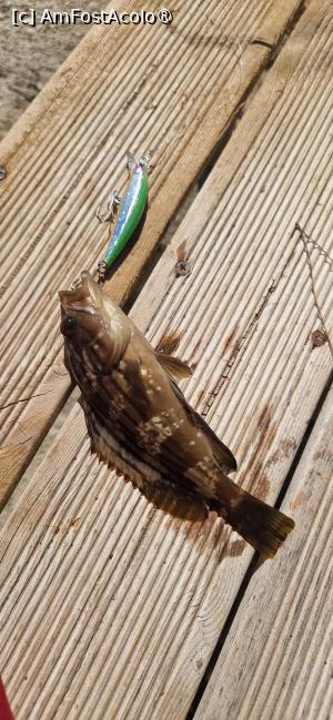 [P07] O captura mica din Afteli » foto by fatdaddy
 - 
<span class="allrVoted glyphicon glyphicon-heart hidden" id="av1506709"></span>
<a class="m-l-10 hidden" id="sv1506709" onclick="voting_Foto_DelVot(,1506709,14691)" role="button">șterge vot <span class="glyphicon glyphicon-remove"></span></a>
<a id="v91506709" class=" c-red"  onclick="voting_Foto_SetVot(1506709)" role="button"><span class="glyphicon glyphicon-heart-empty"></span> <b>LIKE</b> = Votează poza</a> <img class="hidden"  id="f1506709W9" src="/imagini/loader.gif" border="0" /><span class="AjErrMes hidden" id="e1506709ErM"></span>