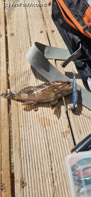 [P08] Afteli » foto by fatdaddy
 - 
<span class="allrVoted glyphicon glyphicon-heart hidden" id="av1506710"></span>
<a class="m-l-10 hidden" id="sv1506710" onclick="voting_Foto_DelVot(,1506710,14691)" role="button">șterge vot <span class="glyphicon glyphicon-remove"></span></a>
<a id="v91506710" class=" c-red"  onclick="voting_Foto_SetVot(1506710)" role="button"><span class="glyphicon glyphicon-heart-empty"></span> <b>LIKE</b> = Votează poza</a> <img class="hidden"  id="f1506710W9" src="/imagini/loader.gif" border="0" /><span class="AjErrMes hidden" id="e1506710ErM"></span>