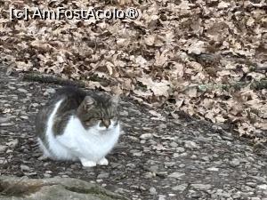 [P29] Muzeul tehnicii populare Astra » foto by AZE
 - 
<span class="allrVoted glyphicon glyphicon-heart hidden" id="av1463430"></span>
<a class="m-l-10 hidden" id="sv1463430" onclick="voting_Foto_DelVot(,1463430,14876)" role="button">șterge vot <span class="glyphicon glyphicon-remove"></span></a>
<a id="v91463430" class=" c-red"  onclick="voting_Foto_SetVot(1463430)" role="button"><span class="glyphicon glyphicon-heart-empty"></span> <b>LIKE</b> = Votează poza</a> <img class="hidden"  id="f1463430W9" src="/imagini/loader.gif" border="0" /><span class="AjErrMes hidden" id="e1463430ErM"></span>