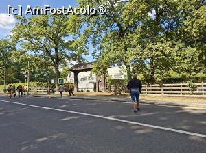 [P03] Traversăm șoseaua spre muzeu » foto by Carmen Ion
 - 
<span class="allrVoted glyphicon glyphicon-heart hidden" id="av1512838"></span>
<a class="m-l-10 hidden" id="sv1512838" onclick="voting_Foto_DelVot(,1512838,14876)" role="button">șterge vot <span class="glyphicon glyphicon-remove"></span></a>
<a id="v91512838" class=" c-red"  onclick="voting_Foto_SetVot(1512838)" role="button"><span class="glyphicon glyphicon-heart-empty"></span> <b>LIKE</b> = Votează poza</a> <img class="hidden"  id="f1512838W9" src="/imagini/loader.gif" border="0" /><span class="AjErrMes hidden" id="e1512838ErM"></span>