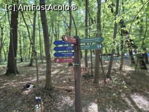 [P06] La plimbare prin muzeu » foto by Carmen Ion
 - 
<span class="allrVoted glyphicon glyphicon-heart hidden" id="av1512841"></span>
<a class="m-l-10 hidden" id="sv1512841" onclick="voting_Foto_DelVot(,1512841,14876)" role="button">șterge vot <span class="glyphicon glyphicon-remove"></span></a>
<a id="v91512841" class=" c-red"  onclick="voting_Foto_SetVot(1512841)" role="button"><span class="glyphicon glyphicon-heart-empty"></span> <b>LIKE</b> = Votează poza</a> <img class="hidden"  id="f1512841W9" src="/imagini/loader.gif" border="0" /><span class="AjErrMes hidden" id="e1512841ErM"></span>