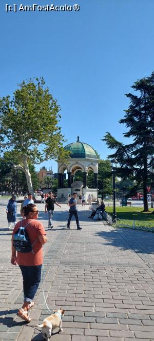 [P15] Cu cățelușele în Piața Sultanahmet, mergând spre Fântâna germană » foto by Carmen Ion
 - 
<span class="allrVoted glyphicon glyphicon-heart hidden" id="av1508507"></span>
<a class="m-l-10 hidden" id="sv1508507" onclick="voting_Foto_DelVot(,1508507,14995)" role="button">șterge vot <span class="glyphicon glyphicon-remove"></span></a>
<a id="v91508507" class=" c-red"  onclick="voting_Foto_SetVot(1508507)" role="button"><span class="glyphicon glyphicon-heart-empty"></span> <b>LIKE</b> = Votează poza</a> <img class="hidden"  id="f1508507W9" src="/imagini/loader.gif" border="0" /><span class="AjErrMes hidden" id="e1508507ErM"></span>