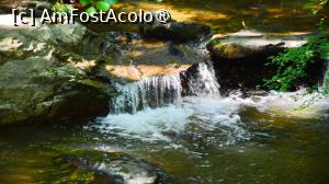 [P11]  -- <small>// FĂRĂ DESCRIERE</small> » foto by pepsi70ro
 - 
<span class="allrVoted glyphicon glyphicon-heart hidden" id="av1491293"></span>
<a class="m-l-10 hidden" id="sv1491293" onclick="voting_Foto_DelVot(,1491293,15101)" role="button">șterge vot <span class="glyphicon glyphicon-remove"></span></a>
<a id="v91491293" class=" c-red"  onclick="voting_Foto_SetVot(1491293)" role="button"><span class="glyphicon glyphicon-heart-empty"></span> <b>LIKE</b> = Votează poza</a> <img class="hidden"  id="f1491293W9" src="/imagini/loader.gif" border="0" /><span class="AjErrMes hidden" id="e1491293ErM"></span>