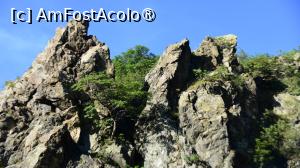 [P13]  -- <small>// FĂRĂ DESCRIERE</small> » foto by pepsi70ro
 - 
<span class="allrVoted glyphicon glyphicon-heart hidden" id="av1491295"></span>
<a class="m-l-10 hidden" id="sv1491295" onclick="voting_Foto_DelVot(,1491295,15101)" role="button">șterge vot <span class="glyphicon glyphicon-remove"></span></a>
<a id="v91491295" class=" c-red"  onclick="voting_Foto_SetVot(1491295)" role="button"><span class="glyphicon glyphicon-heart-empty"></span> <b>LIKE</b> = Votează poza</a> <img class="hidden"  id="f1491295W9" src="/imagini/loader.gif" border="0" /><span class="AjErrMes hidden" id="e1491295ErM"></span>