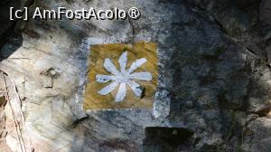 [P30]  -- <small>// FĂRĂ DESCRIERE</small> » foto by pepsi70ro
 - 
<span class="allrVoted glyphicon glyphicon-heart hidden" id="av1491312"></span>
<a class="m-l-10 hidden" id="sv1491312" onclick="voting_Foto_DelVot(,1491312,15101)" role="button">șterge vot <span class="glyphicon glyphicon-remove"></span></a>
<a id="v91491312" class=" c-red"  onclick="voting_Foto_SetVot(1491312)" role="button"><span class="glyphicon glyphicon-heart-empty"></span> <b>LIKE</b> = Votează poza</a> <img class="hidden"  id="f1491312W9" src="/imagini/loader.gif" border="0" /><span class="AjErrMes hidden" id="e1491312ErM"></span>