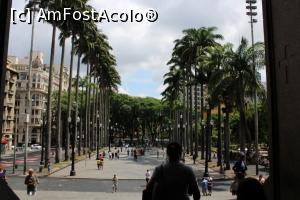P10 [JAN-2019] Sao Paulo, Praça da Sé cu frumoși palmieri