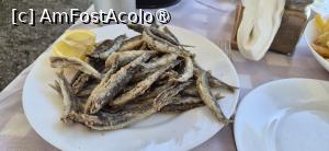 [P13] Taverna Yalos Byzantio, gavroși » foto by irinad
 - 
<span class="allrVoted glyphicon glyphicon-heart hidden" id="av1548482"></span>
<a class="m-l-10 hidden" id="sv1548482" onclick="voting_Foto_DelVot(,1548482,15356)" role="button">șterge vot <span class="glyphicon glyphicon-remove"></span></a>
<a id="v91548482" class=" c-red"  onclick="voting_Foto_SetVot(1548482)" role="button"><span class="glyphicon glyphicon-heart-empty"></span> <b>LIKE</b> = Votează poza</a> <img class="hidden"  id="f1548482W9" src="/imagini/loader.gif" border="0" /><span class="AjErrMes hidden" id="e1548482ErM"></span>
