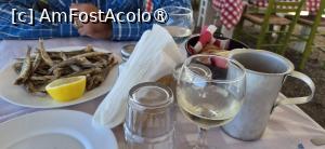 [P09] Taverna Yalos Byzantio, gavroși » foto by irinad
 - 
<span class="allrVoted glyphicon glyphicon-heart hidden" id="av1548478"></span>
<a class="m-l-10 hidden" id="sv1548478" onclick="voting_Foto_DelVot(,1548478,15356)" role="button">șterge vot <span class="glyphicon glyphicon-remove"></span></a>
<a id="v91548478" class=" c-red"  onclick="voting_Foto_SetVot(1548478)" role="button"><span class="glyphicon glyphicon-heart-empty"></span> <b>LIKE</b> = Votează poza</a> <img class="hidden"  id="f1548478W9" src="/imagini/loader.gif" border="0" /><span class="AjErrMes hidden" id="e1548478ErM"></span>
