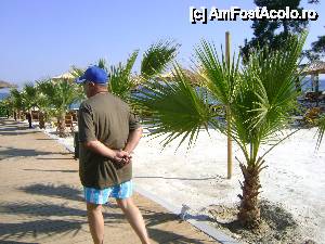 [P16] Intrare spre apa » foto by xpac
 - 
<span class="allrVoted glyphicon glyphicon-heart hidden" id="av510101"></span>
<a class="m-l-10 hidden" id="sv510101" onclick="voting_Foto_DelVot(,510101,15447)" role="button">șterge vot <span class="glyphicon glyphicon-remove"></span></a>
<a id="v9510101" class=" c-red"  onclick="voting_Foto_SetVot(510101)" role="button"><span class="glyphicon glyphicon-heart-empty"></span> <b>LIKE</b> = Votează poza</a> <img class="hidden"  id="f510101W9" src="/imagini/loader.gif" border="0" /><span class="AjErrMes hidden" id="e510101ErM"></span>