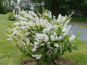 [P44] Oslo, Oscarshall, Flori în Parc » foto by mprofeanu
 - 
<span class="allrVoted glyphicon glyphicon-heart hidden" id="av1523582"></span>
<a class="m-l-10 hidden" id="sv1523582" onclick="voting_Foto_DelVot(,1523582,15474)" role="button">șterge vot <span class="glyphicon glyphicon-remove"></span></a>
<a id="v91523582" class=" c-red"  onclick="voting_Foto_SetVot(1523582)" role="button"><span class="glyphicon glyphicon-heart-empty"></span> <b>LIKE</b> = Votează poza</a> <img class="hidden"  id="f1523582W9" src="/imagini/loader.gif" border="0" /><span class="AjErrMes hidden" id="e1523582ErM"></span>