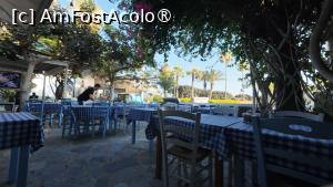 [P07] Unde am mâncat la Ayia Napa - Odissos / terasa » foto by Dragoș_MD
 - 
<span class="allrVoted glyphicon glyphicon-heart hidden" id="av1489365"></span>
<a class="m-l-10 hidden" id="sv1489365" onclick="voting_Foto_DelVot(,1489365,15518)" role="button">șterge vot <span class="glyphicon glyphicon-remove"></span></a>
<a id="v91489365" class=" c-red"  onclick="voting_Foto_SetVot(1489365)" role="button"><span class="glyphicon glyphicon-heart-empty"></span> <b>LIKE</b> = Votează poza</a> <img class="hidden"  id="f1489365W9" src="/imagini/loader.gif" border="0" /><span class="AjErrMes hidden" id="e1489365ErM"></span>