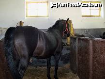[P23] Herghelia Sambata de jos » foto by Lumis66
 - 
<span class="allrVoted glyphicon glyphicon-heart hidden" id="av245683"></span>
<a class="m-l-10 hidden" id="sv245683" onclick="voting_Foto_DelVot(,245683,15708)" role="button">șterge vot <span class="glyphicon glyphicon-remove"></span></a>
<a id="v9245683" class=" c-red"  onclick="voting_Foto_SetVot(245683)" role="button"><span class="glyphicon glyphicon-heart-empty"></span> <b>LIKE</b> = Votează poza</a> <img class="hidden"  id="f245683W9" src="/imagini/loader.gif" border="0" /><span class="AjErrMes hidden" id="e245683ErM"></span>