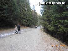 [P10] Întâlnirea AFA 2014 - Plimbare pe drumul forestier de lângă Mistral Resort.  » foto by iulianic
 - 
<span class="allrVoted glyphicon glyphicon-heart hidden" id="av499748"></span>
<a class="m-l-10 hidden" id="sv499748" onclick="voting_Foto_DelVot(,499748,15933)" role="button">șterge vot <span class="glyphicon glyphicon-remove"></span></a>
<a id="v9499748" class=" c-red"  onclick="voting_Foto_SetVot(499748)" role="button"><span class="glyphicon glyphicon-heart-empty"></span> <b>LIKE</b> = Votează poza</a> <img class="hidden"  id="f499748W9" src="/imagini/loader.gif" border="0" /><span class="AjErrMes hidden" id="e499748ErM"></span>