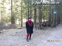 [P08] Întâlnirea AFA 2014 - Plimbare pe drumul forestier de lângă Mistral Resort.  » foto by iulianic
 - 
<span class="allrVoted glyphicon glyphicon-heart hidden" id="av499746"></span>
<a class="m-l-10 hidden" id="sv499746" onclick="voting_Foto_DelVot(,499746,15933)" role="button">șterge vot <span class="glyphicon glyphicon-remove"></span></a>
<a id="v9499746" class=" c-red"  onclick="voting_Foto_SetVot(499746)" role="button"><span class="glyphicon glyphicon-heart-empty"></span> <b>LIKE</b> = Votează poza</a> <img class="hidden"  id="f499746W9" src="/imagini/loader.gif" border="0" /><span class="AjErrMes hidden" id="e499746ErM"></span>