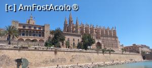 [P08] Catedrala din Palma » foto by mariana07
 - 
<span class="allrVoted glyphicon glyphicon-heart hidden" id="av1547800"></span>
<a class="m-l-10 hidden" id="sv1547800" onclick="voting_Foto_DelVot(,1547800,16264)" role="button">șterge vot <span class="glyphicon glyphicon-remove"></span></a>
<a id="v91547800" class=" c-red"  onclick="voting_Foto_SetVot(1547800)" role="button"><span class="glyphicon glyphicon-heart-empty"></span> <b>LIKE</b> = Votează poza</a> <img class="hidden"  id="f1547800W9" src="/imagini/loader.gif" border="0" /><span class="AjErrMes hidden" id="e1547800ErM"></span>