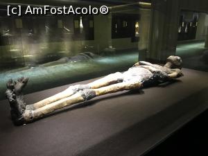 P25 [MAY-2019] King Tut Museum – mumia