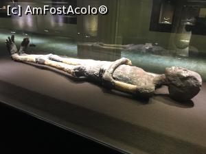 P26 [MAY-2019] King Tut Museum – mumia