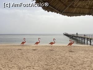 P05 [MAY-2021] Rixos Sharm - O alegere excelentă - plaja, pontonul şi marea