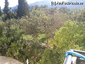 [P09]  -- <small>// FĂRĂ DESCRIERE</small> » foto by roxalexa
 - 
<span class="allrVoted glyphicon glyphicon-heart hidden" id="av514262"></span>
<a class="m-l-10 hidden" id="sv514262" onclick="voting_Foto_DelVot(,514262,16530)" role="button">șterge vot <span class="glyphicon glyphicon-remove"></span></a>
<a id="v9514262" class=" c-red"  onclick="voting_Foto_SetVot(514262)" role="button"><span class="glyphicon glyphicon-heart-empty"></span> <b>LIKE</b> = Votează poza</a> <img class="hidden"  id="f514262W9" src="/imagini/loader.gif" border="0" /><span class="AjErrMes hidden" id="e514262ErM"></span>