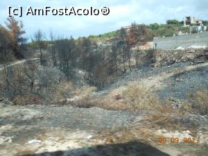 [P18] Zakynthos - Urmele incendiului din august 2017.  » foto by iulianic
 - 
<span class="allrVoted glyphicon glyphicon-heart hidden" id="av909559"></span>
<a class="m-l-10 hidden" id="sv909559" onclick="voting_Foto_DelVot(,909559,16617)" role="button">șterge vot <span class="glyphicon glyphicon-remove"></span></a>
<a id="v9909559" class=" c-red"  onclick="voting_Foto_SetVot(909559)" role="button"><span class="glyphicon glyphicon-heart-empty"></span> <b>LIKE</b> = Votează poza</a> <img class="hidden"  id="f909559W9" src="/imagini/loader.gif" border="0" /><span class="AjErrMes hidden" id="e909559ErM"></span>