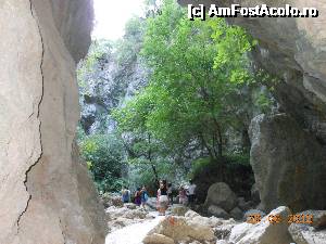 [P29] Cascada Dimosari - Spre cascadă.  » foto by iulianic
 - 
<span class="allrVoted glyphicon glyphicon-heart hidden" id="av497173"></span>
<a class="m-l-10 hidden" id="sv497173" onclick="voting_Foto_DelVot(,497173,16678)" role="button">șterge vot <span class="glyphicon glyphicon-remove"></span></a>
<a id="v9497173" class=" c-red"  onclick="voting_Foto_SetVot(497173)" role="button"><span class="glyphicon glyphicon-heart-empty"></span> <b>LIKE</b> = Votează poza</a> <img class="hidden"  id="f497173W9" src="/imagini/loader.gif" border="0" /><span class="AjErrMes hidden" id="e497173ErM"></span>