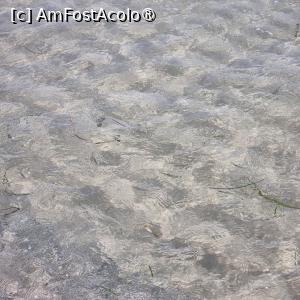 [P13] Marea » foto by Florenta90
 - 
<span class="allrVoted glyphicon glyphicon-heart hidden" id="av1518155"></span>
<a class="m-l-10 hidden" id="sv1518155" onclick="voting_Foto_DelVot(,1518155,16748)" role="button">șterge vot <span class="glyphicon glyphicon-remove"></span></a>
<a id="v91518155" class=" c-red"  onclick="voting_Foto_SetVot(1518155)" role="button"><span class="glyphicon glyphicon-heart-empty"></span> <b>LIKE</b> = Votează poza</a> <img class="hidden"  id="f1518155W9" src="/imagini/loader.gif" border="0" /><span class="AjErrMes hidden" id="e1518155ErM"></span>