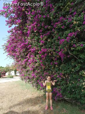 [P15] Din curtea resortului » foto by Florenta90
 - 
<span class="allrVoted glyphicon glyphicon-heart hidden" id="av1518157"></span>
<a class="m-l-10 hidden" id="sv1518157" onclick="voting_Foto_DelVot(,1518157,16748)" role="button">șterge vot <span class="glyphicon glyphicon-remove"></span></a>
<a id="v91518157" class=" c-red"  onclick="voting_Foto_SetVot(1518157)" role="button"><span class="glyphicon glyphicon-heart-empty"></span> <b>LIKE</b> = Votează poza</a> <img class="hidden"  id="f1518157W9" src="/imagini/loader.gif" border="0" /><span class="AjErrMes hidden" id="e1518157ErM"></span>