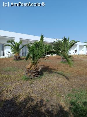 [P16] In fata camerei » foto by Florenta90
 - 
<span class="allrVoted glyphicon glyphicon-heart hidden" id="av1518158"></span>
<a class="m-l-10 hidden" id="sv1518158" onclick="voting_Foto_DelVot(,1518158,16748)" role="button">șterge vot <span class="glyphicon glyphicon-remove"></span></a>
<a id="v91518158" class=" c-red"  onclick="voting_Foto_SetVot(1518158)" role="button"><span class="glyphicon glyphicon-heart-empty"></span> <b>LIKE</b> = Votează poza</a> <img class="hidden"  id="f1518158W9" src="/imagini/loader.gif" border="0" /><span class="AjErrMes hidden" id="e1518158ErM"></span>