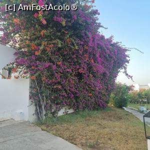 [P21] Frumos » foto by Florenta90
 - 
<span class="allrVoted glyphicon glyphicon-heart hidden" id="av1518163"></span>
<a class="m-l-10 hidden" id="sv1518163" onclick="voting_Foto_DelVot(,1518163,16748)" role="button">șterge vot <span class="glyphicon glyphicon-remove"></span></a>
<a id="v91518163" class=" c-red"  onclick="voting_Foto_SetVot(1518163)" role="button"><span class="glyphicon glyphicon-heart-empty"></span> <b>LIKE</b> = Votează poza</a> <img class="hidden"  id="f1518163W9" src="/imagini/loader.gif" border="0" /><span class="AjErrMes hidden" id="e1518163ErM"></span>