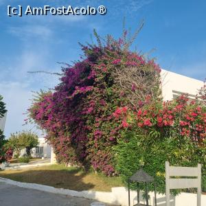 [P24] Curtea resortului » foto by Florenta90
 - 
<span class="allrVoted glyphicon glyphicon-heart hidden" id="av1518166"></span>
<a class="m-l-10 hidden" id="sv1518166" onclick="voting_Foto_DelVot(,1518166,16748)" role="button">șterge vot <span class="glyphicon glyphicon-remove"></span></a>
<a id="v91518166" class=" c-red"  onclick="voting_Foto_SetVot(1518166)" role="button"><span class="glyphicon glyphicon-heart-empty"></span> <b>LIKE</b> = Votează poza</a> <img class="hidden"  id="f1518166W9" src="/imagini/loader.gif" border="0" /><span class="AjErrMes hidden" id="e1518166ErM"></span>