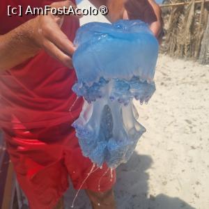 [P05] Foarte frumoasa » foto by Florenta90
 - 
<span class="allrVoted glyphicon glyphicon-heart hidden" id="av1518147"></span>
<a class="m-l-10 hidden" id="sv1518147" onclick="voting_Foto_DelVot(,1518147,16748)" role="button">șterge vot <span class="glyphicon glyphicon-remove"></span></a>
<a id="v91518147" class=" c-red"  onclick="voting_Foto_SetVot(1518147)" role="button"><span class="glyphicon glyphicon-heart-empty"></span> <b>LIKE</b> = Votează poza</a> <img class="hidden"  id="f1518147W9" src="/imagini/loader.gif" border="0" /><span class="AjErrMes hidden" id="e1518147ErM"></span>