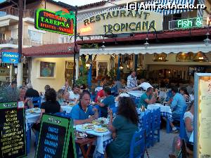 [P28] Restaurant Tropicana » foto by raduax
 - 
<span class="allrVoted glyphicon glyphicon-heart hidden" id="av527417"></span>
<a class="m-l-10 hidden" id="sv527417" onclick="voting_Foto_DelVot(,527417,16833)" role="button">șterge vot <span class="glyphicon glyphicon-remove"></span></a>
<a id="v9527417" class=" c-red"  onclick="voting_Foto_SetVot(527417)" role="button"><span class="glyphicon glyphicon-heart-empty"></span> <b>LIKE</b> = Votează poza</a> <img class="hidden"  id="f527417W9" src="/imagini/loader.gif" border="0" /><span class="AjErrMes hidden" id="e527417ErM"></span>