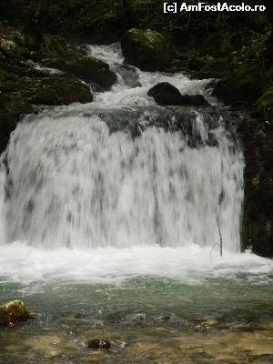 [P01] Cascada Bigăr, în amonte » foto by Paty
 - 
<span class="allrVoted glyphicon glyphicon-heart hidden" id="av534402"></span>
<a class="m-l-10 hidden" id="sv534402" onclick="voting_Foto_DelVot(,534402,16943)" role="button">șterge vot <span class="glyphicon glyphicon-remove"></span></a>
<a id="v9534402" class=" c-red"  onclick="voting_Foto_SetVot(534402)" role="button"><span class="glyphicon glyphicon-heart-empty"></span> <b>LIKE</b> = Votează poza</a> <img class="hidden"  id="f534402W9" src="/imagini/loader.gif" border="0" /><span class="AjErrMes hidden" id="e534402ErM"></span>