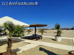 [P36] Plaja Sulina » foto by crismis
 - 
<span class="allrVoted glyphicon glyphicon-heart hidden" id="av1499847"></span>
<a class="m-l-10 hidden" id="sv1499847" onclick="voting_Foto_DelVot(,1499847,17088)" role="button">șterge vot <span class="glyphicon glyphicon-remove"></span></a>
<a id="v91499847" class=" c-red"  onclick="voting_Foto_SetVot(1499847)" role="button"><span class="glyphicon glyphicon-heart-empty"></span> <b>LIKE</b> = Votează poza</a> <img class="hidden"  id="f1499847W9" src="/imagini/loader.gif" border="0" /><span class="AjErrMes hidden" id="e1499847ErM"></span>