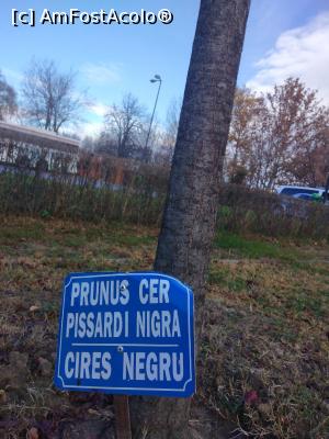 [P15] Parcul Marghiloman, Buzău » foto by Mioritik
 - 
<span class="allrVoted glyphicon glyphicon-heart hidden" id="av1296523"></span>
<a class="m-l-10 hidden" id="sv1296523" onclick="voting_Foto_DelVot(,1296523,17366)" role="button">șterge vot <span class="glyphicon glyphicon-remove"></span></a>
<a id="v91296523" class=" c-red"  onclick="voting_Foto_SetVot(1296523)" role="button"><span class="glyphicon glyphicon-heart-empty"></span> <b>LIKE</b> = Votează poza</a> <img class="hidden"  id="f1296523W9" src="/imagini/loader.gif" border="0" /><span class="AjErrMes hidden" id="e1296523ErM"></span>