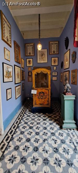 [P29] Palanchinul celebru » foto by irinad
 - 
<span class="allrVoted glyphicon glyphicon-heart hidden" id="av1515410"></span>
<a class="m-l-10 hidden" id="sv1515410" onclick="voting_Foto_DelVot(,1515410,17454)" role="button">șterge vot <span class="glyphicon glyphicon-remove"></span></a>
<a id="v91515410" class=" c-red"  onclick="voting_Foto_SetVot(1515410)" role="button"><span class="glyphicon glyphicon-heart-empty"></span> <b>LIKE</b> = Votează poza</a> <img class="hidden"  id="f1515410W9" src="/imagini/loader.gif" border="0" /><span class="AjErrMes hidden" id="e1515410ErM"></span>