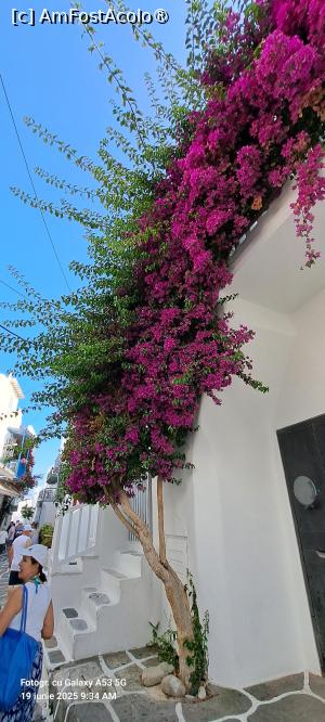 [P03] Pe aleile din Chora Mykonos, spre portul vechi » foto by irinad
 - 
<span class="allrVoted glyphicon glyphicon-heart hidden" id="av1526093"></span>
<a class="m-l-10 hidden" id="sv1526093" onclick="voting_Foto_DelVot(,1526093,17461)" role="button">șterge vot <span class="glyphicon glyphicon-remove"></span></a>
<a id="v91526093" class=" c-red"  onclick="voting_Foto_SetVot(1526093)" role="button"><span class="glyphicon glyphicon-heart-empty"></span> <b>LIKE</b> = Votează poza</a> <img class="hidden"  id="f1526093W9" src="/imagini/loader.gif" border="0" /><span class="AjErrMes hidden" id="e1526093ErM"></span>