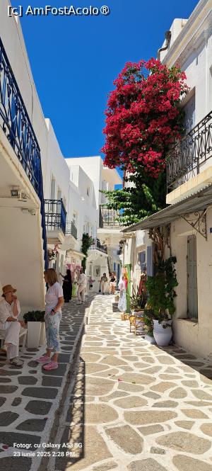 [P71] Paros, la pas prin Paroikia » foto by irinad
 - 
<span class="allrVoted glyphicon glyphicon-heart hidden" id="av1526161"></span>
<a class="m-l-10 hidden" id="sv1526161" onclick="voting_Foto_DelVot(,1526161,17461)" role="button">șterge vot <span class="glyphicon glyphicon-remove"></span></a>
<a id="v91526161" class=" c-red"  onclick="voting_Foto_SetVot(1526161)" role="button"><span class="glyphicon glyphicon-heart-empty"></span> <b>LIKE</b> = Votează poza</a> <img class="hidden"  id="f1526161W9" src="/imagini/loader.gif" border="0" /><span class="AjErrMes hidden" id="e1526161ErM"></span>