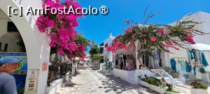 [P87] La pas prin Pounda, Antiparos » foto by irinad
 - 
<span class="allrVoted glyphicon glyphicon-heart hidden" id="av1526177"></span>
<a class="m-l-10 hidden" id="sv1526177" onclick="voting_Foto_DelVot(,1526177,17461)" role="button">șterge vot <span class="glyphicon glyphicon-remove"></span></a>
<a id="v91526177" class=" c-red"  onclick="voting_Foto_SetVot(1526177)" role="button"><span class="glyphicon glyphicon-heart-empty"></span> <b>LIKE</b> = Votează poza</a> <img class="hidden"  id="f1526177W9" src="/imagini/loader.gif" border="0" /><span class="AjErrMes hidden" id="e1526177ErM"></span>