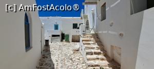 [P94] La pas prin Pounda, Antiparos » foto by irinad
 - 
<span class="allrVoted glyphicon glyphicon-heart hidden" id="av1526184"></span>
<a class="m-l-10 hidden" id="sv1526184" onclick="voting_Foto_DelVot(,1526184,17461)" role="button">șterge vot <span class="glyphicon glyphicon-remove"></span></a>
<a id="v91526184" class=" c-red"  onclick="voting_Foto_SetVot(1526184)" role="button"><span class="glyphicon glyphicon-heart-empty"></span> <b>LIKE</b> = Votează poza</a> <img class="hidden"  id="f1526184W9" src="/imagini/loader.gif" border="0" /><span class="AjErrMes hidden" id="e1526184ErM"></span>