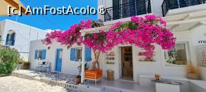 [P96] La pas prin Pounda, Antiparos » foto by irinad
 - 
<span class="allrVoted glyphicon glyphicon-heart hidden" id="av1526186"></span>
<a class="m-l-10 hidden" id="sv1526186" onclick="voting_Foto_DelVot(,1526186,17461)" role="button">șterge vot <span class="glyphicon glyphicon-remove"></span></a>
<a id="v91526186" class=" c-red"  onclick="voting_Foto_SetVot(1526186)" role="button"><span class="glyphicon glyphicon-heart-empty"></span> <b>LIKE</b> = Votează poza</a> <img class="hidden"  id="f1526186W9" src="/imagini/loader.gif" border="0" /><span class="AjErrMes hidden" id="e1526186ErM"></span>