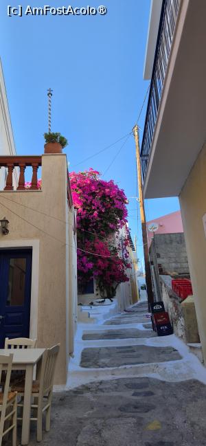 [P31] Kea, la pas prin Ioulida » foto by irinad
 - 
<span class="allrVoted glyphicon glyphicon-heart hidden" id="av1544861"></span>
<a class="m-l-10 hidden" id="sv1544861" onclick="voting_Foto_DelVot(,1544861,17461)" role="button">șterge vot <span class="glyphicon glyphicon-remove"></span></a>
<a id="v91544861" class=" c-red"  onclick="voting_Foto_SetVot(1544861)" role="button"><span class="glyphicon glyphicon-heart-empty"></span> <b>LIKE</b> = Votează poza</a> <img class="hidden"  id="f1544861W9" src="/imagini/loader.gif" border="0" /><span class="AjErrMes hidden" id="e1544861ErM"></span>