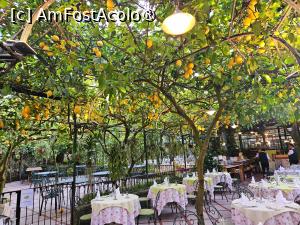 [P01] restaurantul O’Parrucchiano » foto by Opelantara
 - 
<span class="allrVoted glyphicon glyphicon-heart hidden" id="av1527157"></span>
<a class="m-l-10 hidden" id="sv1527157" onclick="voting_Foto_DelVot(,1527157,17505)" role="button">șterge vot <span class="glyphicon glyphicon-remove"></span></a>
<a id="v91527157" class=" c-red"  onclick="voting_Foto_SetVot(1527157)" role="button"><span class="glyphicon glyphicon-heart-empty"></span> <b>LIKE</b> = Votează poza</a> <img class="hidden"  id="f1527157W9" src="/imagini/loader.gif" border="0" /><span class="AjErrMes hidden" id="e1527157ErM"></span>