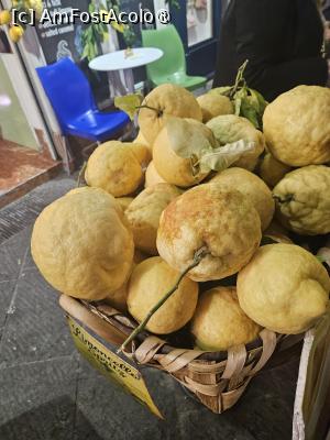 [P19] Lamai pentru limoncelo » foto by Opelantara
 - 
<span class="allrVoted glyphicon glyphicon-heart hidden" id="av1527175"></span>
<a class="m-l-10 hidden" id="sv1527175" onclick="voting_Foto_DelVot(,1527175,17505)" role="button">șterge vot <span class="glyphicon glyphicon-remove"></span></a>
<a id="v91527175" class=" c-red"  onclick="voting_Foto_SetVot(1527175)" role="button"><span class="glyphicon glyphicon-heart-empty"></span> <b>LIKE</b> = Votează poza</a> <img class="hidden"  id="f1527175W9" src="/imagini/loader.gif" border="0" /><span class="AjErrMes hidden" id="e1527175ErM"></span>